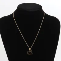 新品同様 エルメス アミュレット バッファローホーン ネックレス エルメス アミュレット パドロックGM バッファローホーン×GP