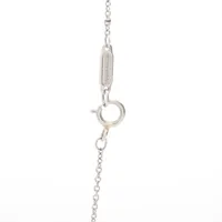 ティファニーソリティア pt950ダイヤネックレス TIFFANY&Co. ティファニー ネックレス レディース ソリティア 立