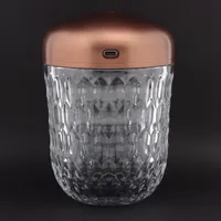 エルメスサンルイ　ミニポータブルランプ HERMES - 新品未使用 エルメス サンルイ ミニランプ フォリア