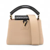 ヴィトン トリヨンxパイソン カプシーヌMINI N96265 エベーヌxブラック