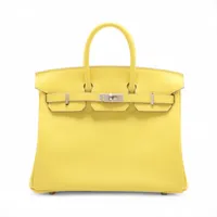 HERMES25フェルト ランク NS 未使用品 HERMÈS エルメス 限定品 バーキン25 Go Team