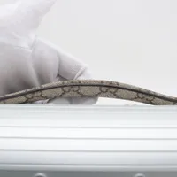 グッチ ビューティケース アルミニウムxPVC シルバー 740505 A3794932