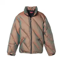 シュプリーム 24AW ナイロン ダウンジャケット S GORE-TEX GORE-TEX 900-Fill Down Parka | Supreme 24fw