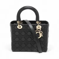 クリスチャンディオール レディディオール カナージュ ナイロン