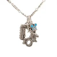 ディオール×ストーンアイランド ネックレス GP シルバー AP104185