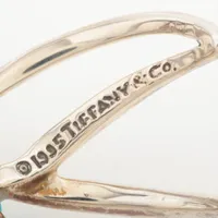 ティファニー ファイヤーワークス ブローチ 925 166.2g シルバー