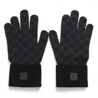 LOUIS VUITTON ヴィトン 手袋 ルイヴィトン 手袋｜中古ブランド品・ブランド古着通販｜ALLU（アリュー）