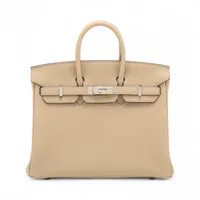 エルメス バーキン25 トゴ グリミスティ シルバー金具 W:2024年