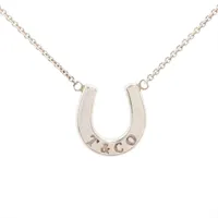 ティファニー ピルケース ネックレス 925 28.6g シルバー バッグ