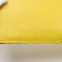 ディオール レディディオール カナージュ レザー フラグメントケース