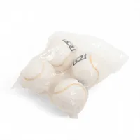 シャネル ココマーク テニスボール フェルト ホワイト 4個セット