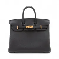 エルメス バーキン25 ルトゥルネ トゴ ブラック ゴールド金具 G:2026年