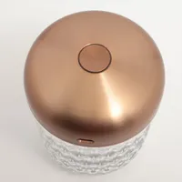 サンルイ ミニポータブルランプフォリア ランプ クリスタル ゴールド