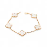 ヴァンクリーフ&アーペル ヴィンテージアルハンブラ 5P タイガーアイ