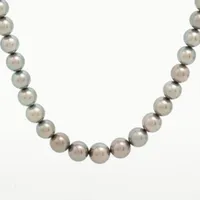 ミキモト パール K18(WG)