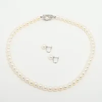 ノンブランド パール なし