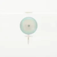 タサキ パール K14WG 約8.5mm