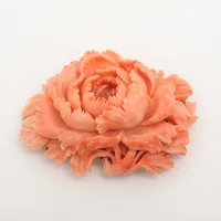 ノンブランド 珊瑚 K9