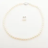 タサキ パール なし